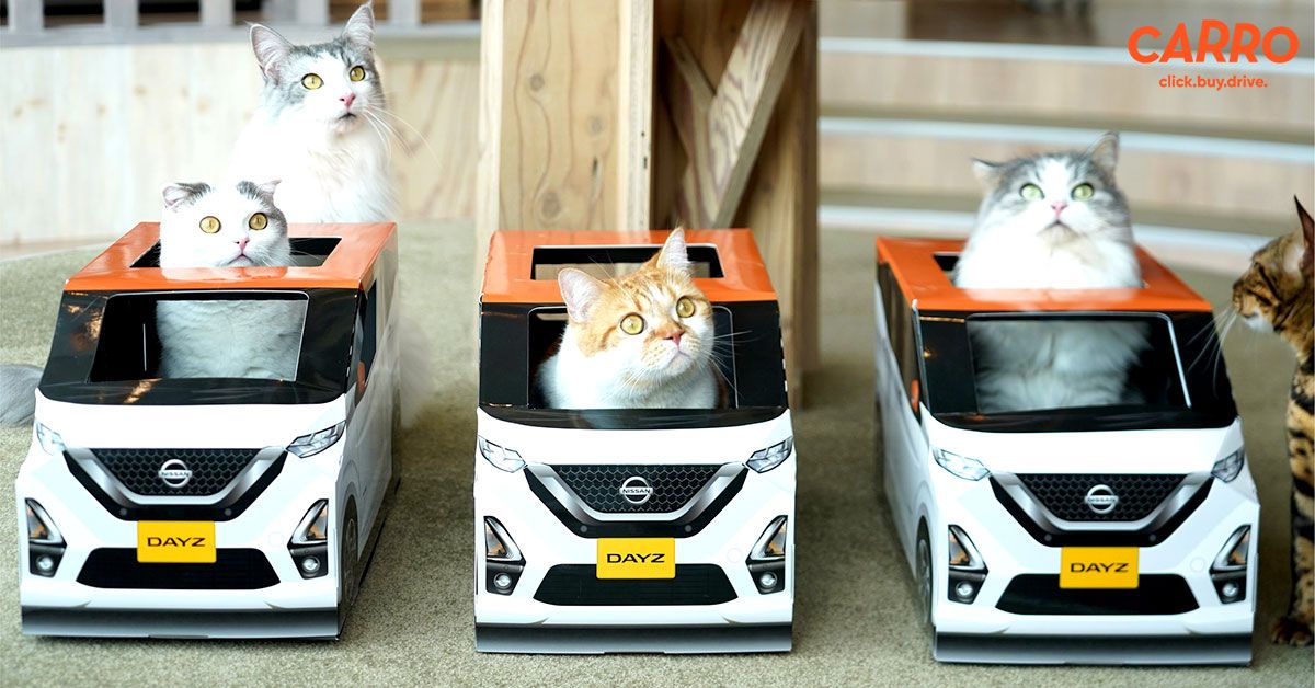 Nissan ลุยคาเฟ่แมวทั่วญี่ปุ่น กับ Nissan Dayz คันจิ๋ว ที่ทาสแมวต้องซื้อให้เจ้านายแล้วล่ะ!